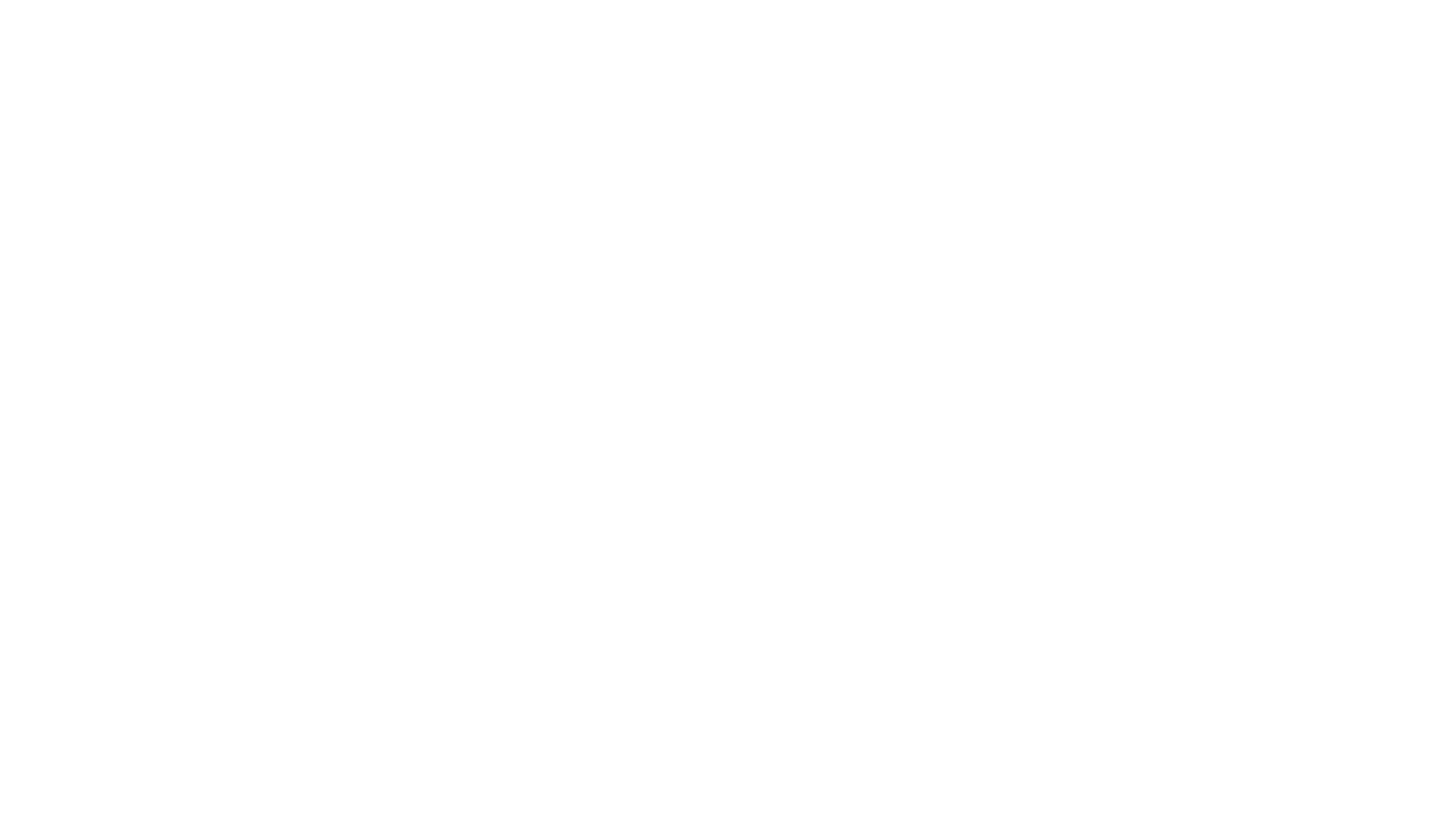 IBMR